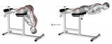 Hyperextension (VERSION 2)
