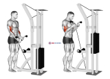 Cable Curl with Multipurpose V bar