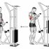 Lever Cable Shoulder Press