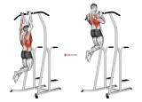 Hammer Grip Pull-up on Dip Cage