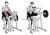 Lever Preacher Curl (plate loaded)
