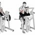 Dumbbell External Rotation