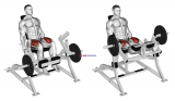 Lever Leg Extension (plate loaded)