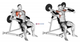Lever Lateral Raise (plate loaded)