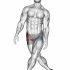 Standing Hip Out Adductor Stretch