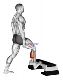 Standing Toe Up Achilles Stretch