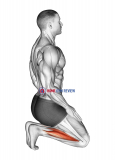 Toe Squat Stretch