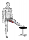 Standing Leg Up Adductor Stretch