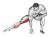 Standing Bent Knee Hip Adductor Stretch