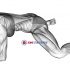 Sitting Wide Leg Adductor Stretch