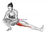 Abduction Of One Leg Flexion Stretch