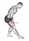Standing Toe Down Hamstring Stretch