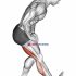 Lever Standing Hip Extension (female)