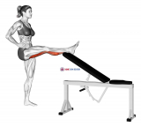 Standing Leg Up Hamstring Stretch