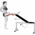 Lever Seated Leg Raise Crunch (plate loaded) (female)
