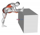 Raised Leg Knee Flexor Stretch