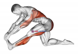 Kneeling Toe Up Hamstring Stretch