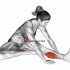 Seated Hip Stretch With Opposite Leg From Behind