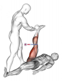 Assisted Lying Hamstring Stretch
