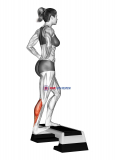 Single Heel Drop Calf Stretch
