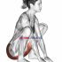 Sitting Sumo with Arms-Up Mobility Stretch