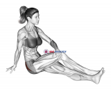 Seated Hip Stretch With Slightly Bent Leg