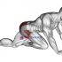 Weighted Standing Curl (female)