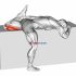 Supported One Leg Standing Hip Flexor And Knee Extensor Stretch