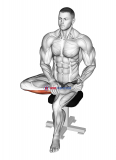 Seated Toe Extensor Stretch