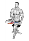 Seated Toe Extensor And Foot Inverter Stretch