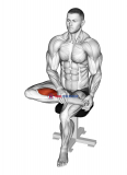 Seated Toe Flexor Stretch