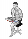 Seated Toe Flexor And Foot Everter Stretch