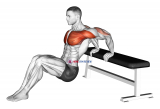 Sitting Shoulders Stretch On Bench