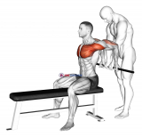 Assisted Sitting Reverse Shoulder Stretch