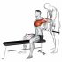 Sitting Shoulders Stretch On Bench