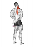 Adduction Of Arm In Back Stretch