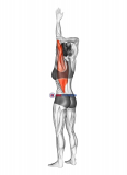 Shoulder Adductor Elevator And Protractor Stretch