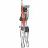 Shoulder Extensor Adductor And Retractor Stretch
