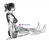 Seated Wrist Ulnar Deviator And Flexor Stretch