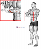 Finger Extension Stretch