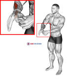 Flexion Finger Stretch