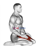 Seated Quadriceps Stretch