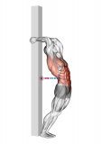 Hip Extension Supported From Back