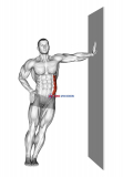 Standing Lower Trunk Lateral Flexor Stretch