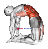 Hip Extension On Knees