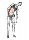 Standing Lateral Side Stretch