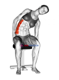 Sitting Lateral Side Stretch