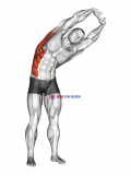 Standing Side Stretch