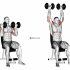 Kettlebell Deck Squat