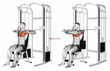 Cable Seated Chest Press